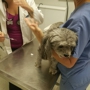 Spring Valley Animal Hospital