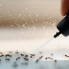 Fox Pest Control gallery