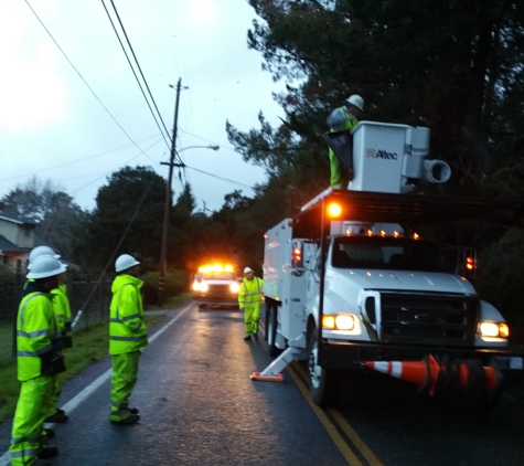 Hodgin & Son Tree Service - Santa Rosa, CA. 24hr emergency services