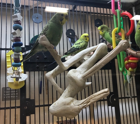 PetSmart - Hemet, CA