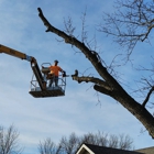 Patriot Tree Service