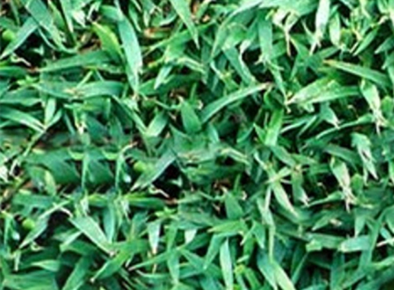 Lockyer Lawn Supplies - Spring Creek, QLD