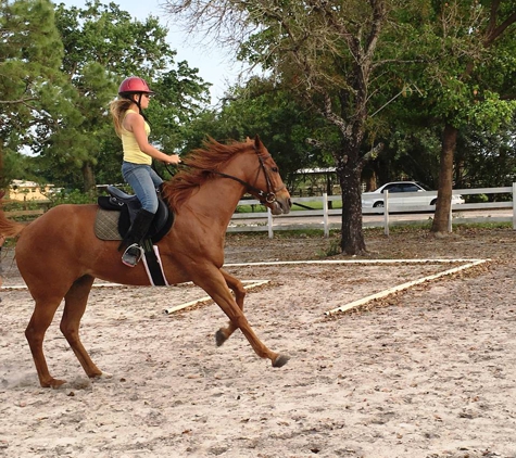 Happy Pony World - Davie, FL