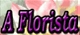 A Florista - Florists