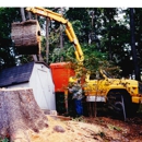 Cumberland Tree Service, LLC - Stump Removal & Grinding