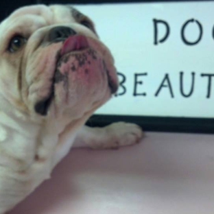 Dogs Beautiful - Rock Hill, SC