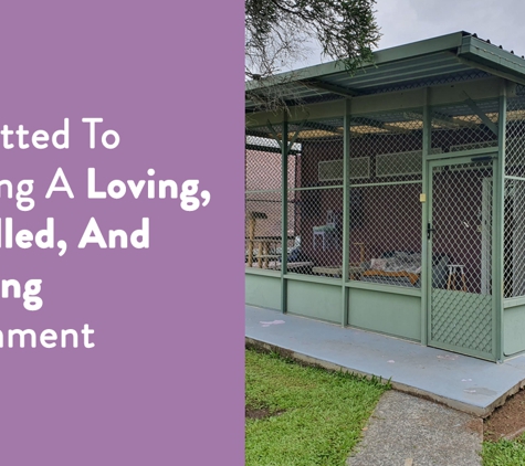 Cats Retreat - North Maclean, QLD. Committed To Providing A Loving, Fun-Filled, And Enriching Environment