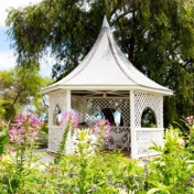 Gallery Image Number 6