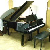 Gallery Image Number 7