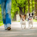 Urban Tails Dog Walking and Pet Sitting - Pet Sitting & Exercising Services