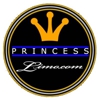 Princess Limousines gallery