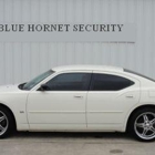 Blue Hornet Security