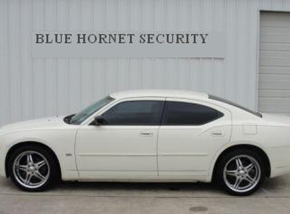 Blue Hornet Security - Jasper, AL