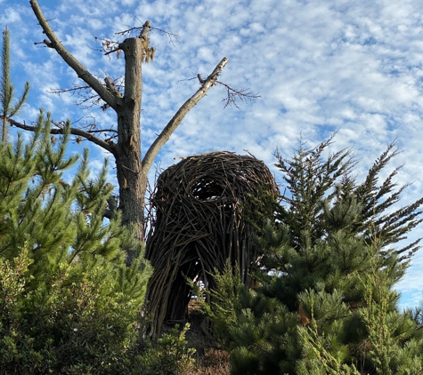 Treebones  Resort - Big Sur, CA