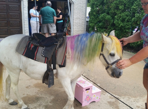 Mountainside Stables - Lafayette, NJ. Rainbow Dash!