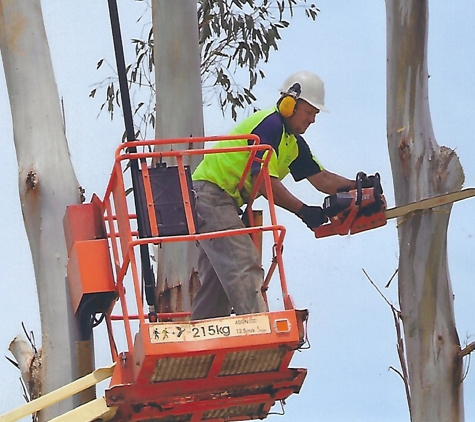 Glenmaggie Treelopping, Bobcat & Tipper Hire - Heyfield, VIC