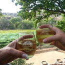Page Springs Cellars - Tourist Information & Attractions