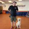 Off Leash K9 Training, Atlanta gallery