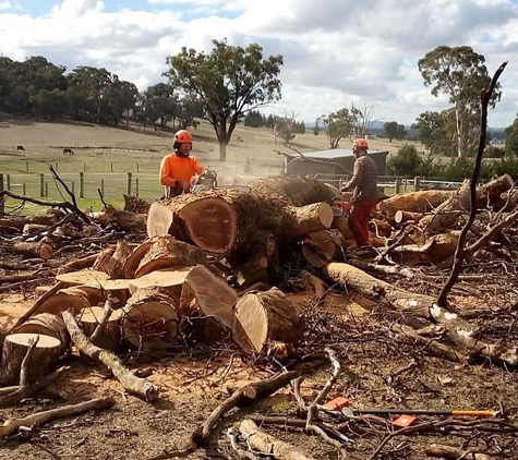 Gravity Tree Worx - Nerrina, VIC