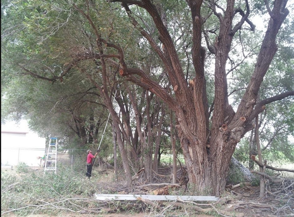 Arborcare tree and landscaping - canyon, TX