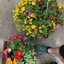 Nelly's Flower Shop - Florists