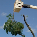 Clean Cut Tree Care - Tree Service