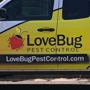 Lovebug Pest Control