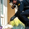Natures Pest Control Services gallery