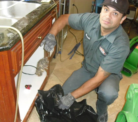 SERVPRO of La Mirada/South Whittier - Fountain Valley, CA