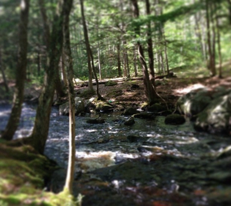 Bear Brook State Park - Allenstown, NH