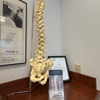 East Side Chiropractic gallery