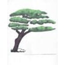 DeClue & Sons Tree Care, Inc. - Stump Removal & Grinding