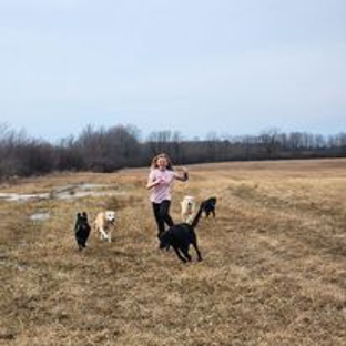 Peaks Paws Dog Boarding-Stay & Play - Chaumont, NY