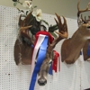 Bucks and Boars Taxidermy LLC gallery