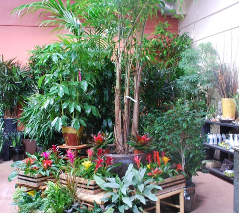 Exotic Plants Ltd. - Sacramento, CA