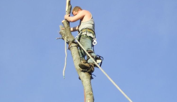 AAA Quality Tree Service - Auburn, CA