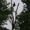 Oakes Tree Service & Rubish Removal gallery