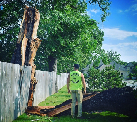 Trees By Jake - Tulsa, OK