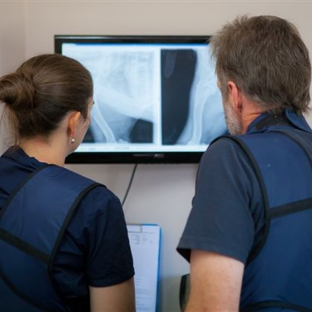 Seymour Veterinary Surgery - Seymour, VIC