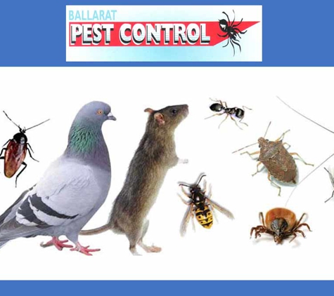Ballarat Pest Control - Mount Pleasant, VIC. Locally owned & operated.
