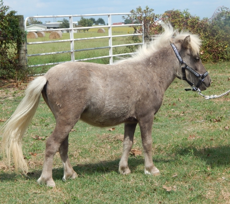 County Line Animal Hospital Inc. - Adkins, TX