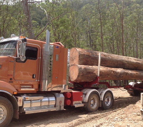 Log Check Forestry. Forestry & Logging Services across the Mid-North Coast