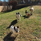 Pet Nanny Pet Care