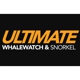 Ultimate Whale Watch & Snorkel