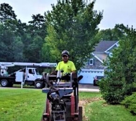 Tree & Land Masters, LLC - Berlin, NJ