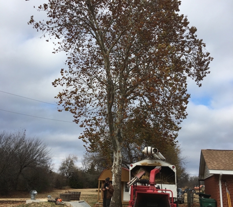 Tree's Done Right - Noble, OK