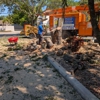 Tropical South Tree Service gallery