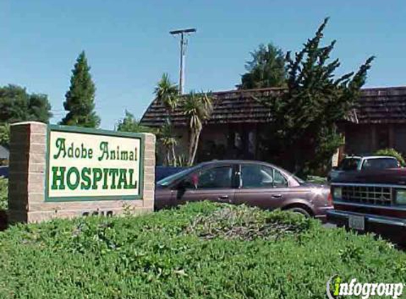 Adobe Animal Hospital - Concord, CA