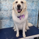 C-n-C Grooming - Pet Grooming