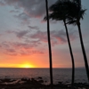 Five Palms Restaurant gallery